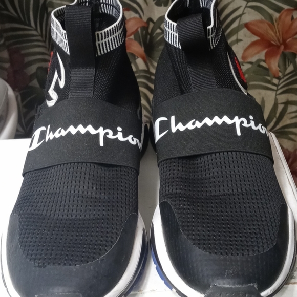 Champion - Picture 2 of 3